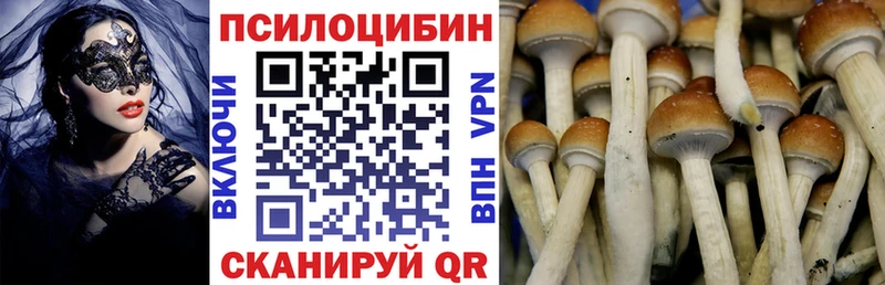 Купить закладки  Хвалынск  Галлюциногенные грибы Magic Shrooms 